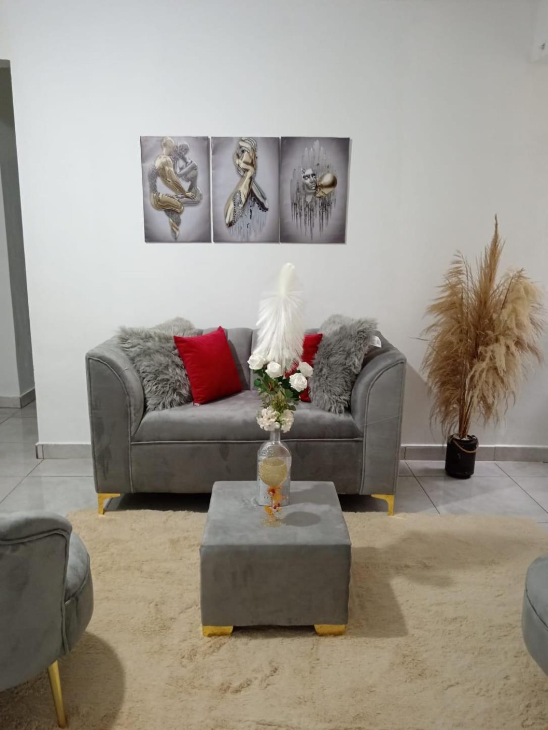 Apartamentos De 1 2 Y 3 Habitaciones Santiago De Los Caballeros Buitenkant foto