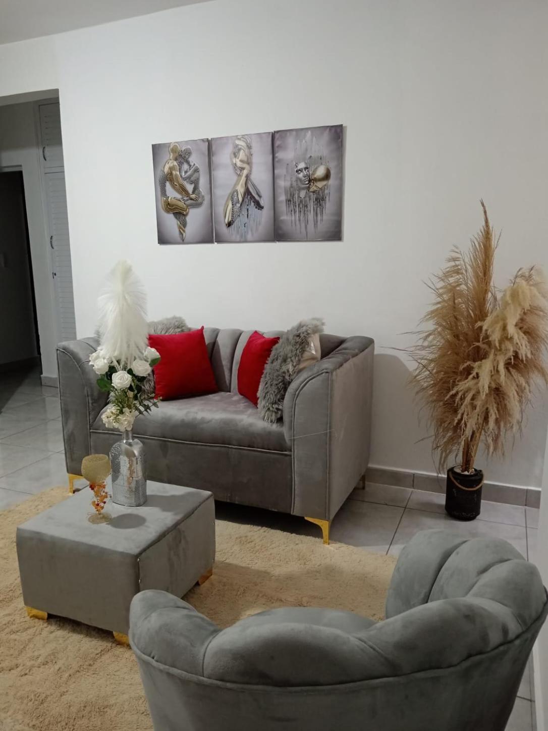 Apartamentos De 1 2 Y 3 Habitaciones Santiago De Los Caballeros Buitenkant foto